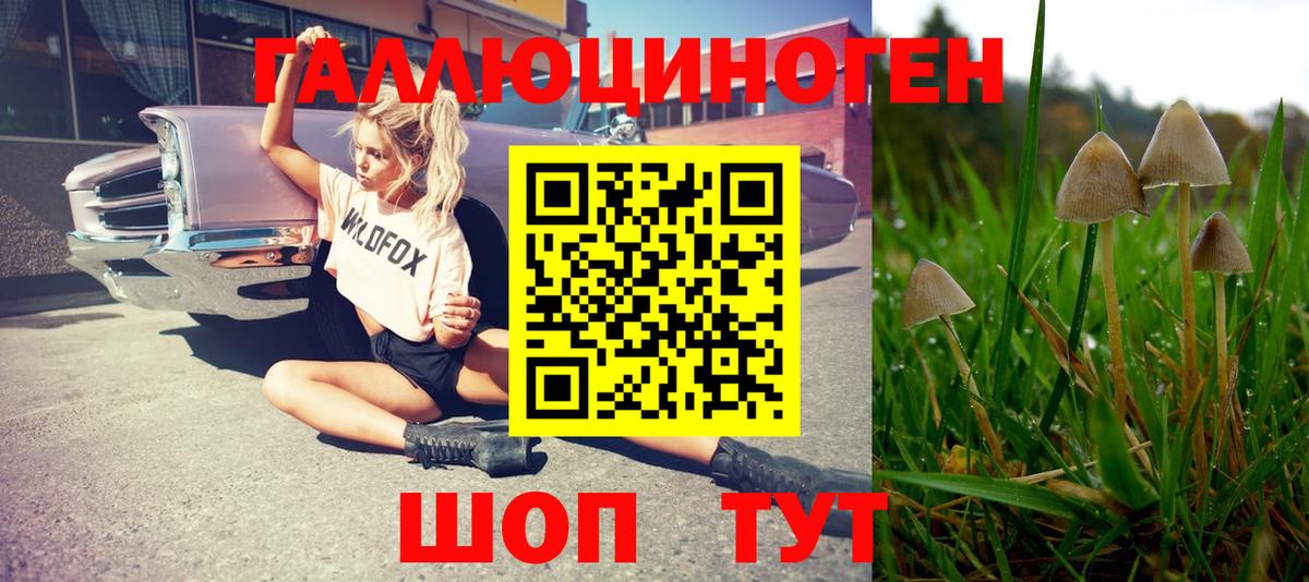 Зерноград  закладка  Вход с VPN  Галлюциногенные грибы MAGIC MUSHROOMS 